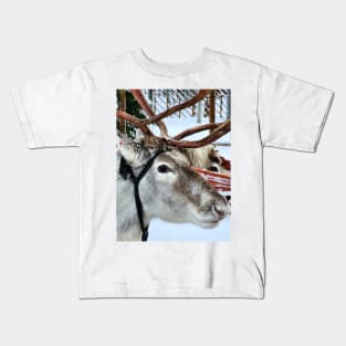 Lapland Kids T-Shirt